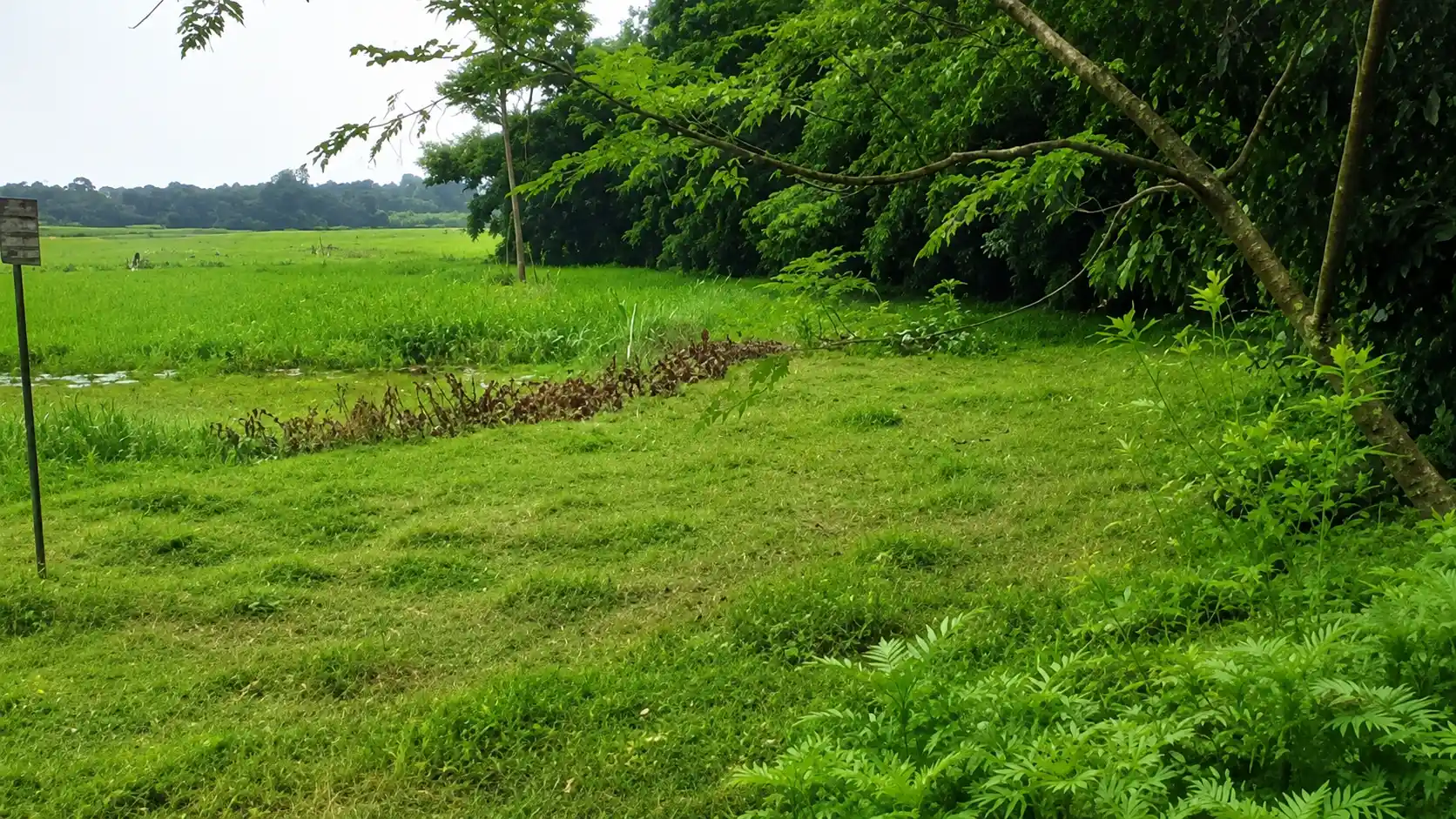 পূর্বাচল কালীগঞ্জের তুমুলিয়া ইউনিয়নে আরা ও চড়াখোলা মৌজায় জমি বিক্রয়