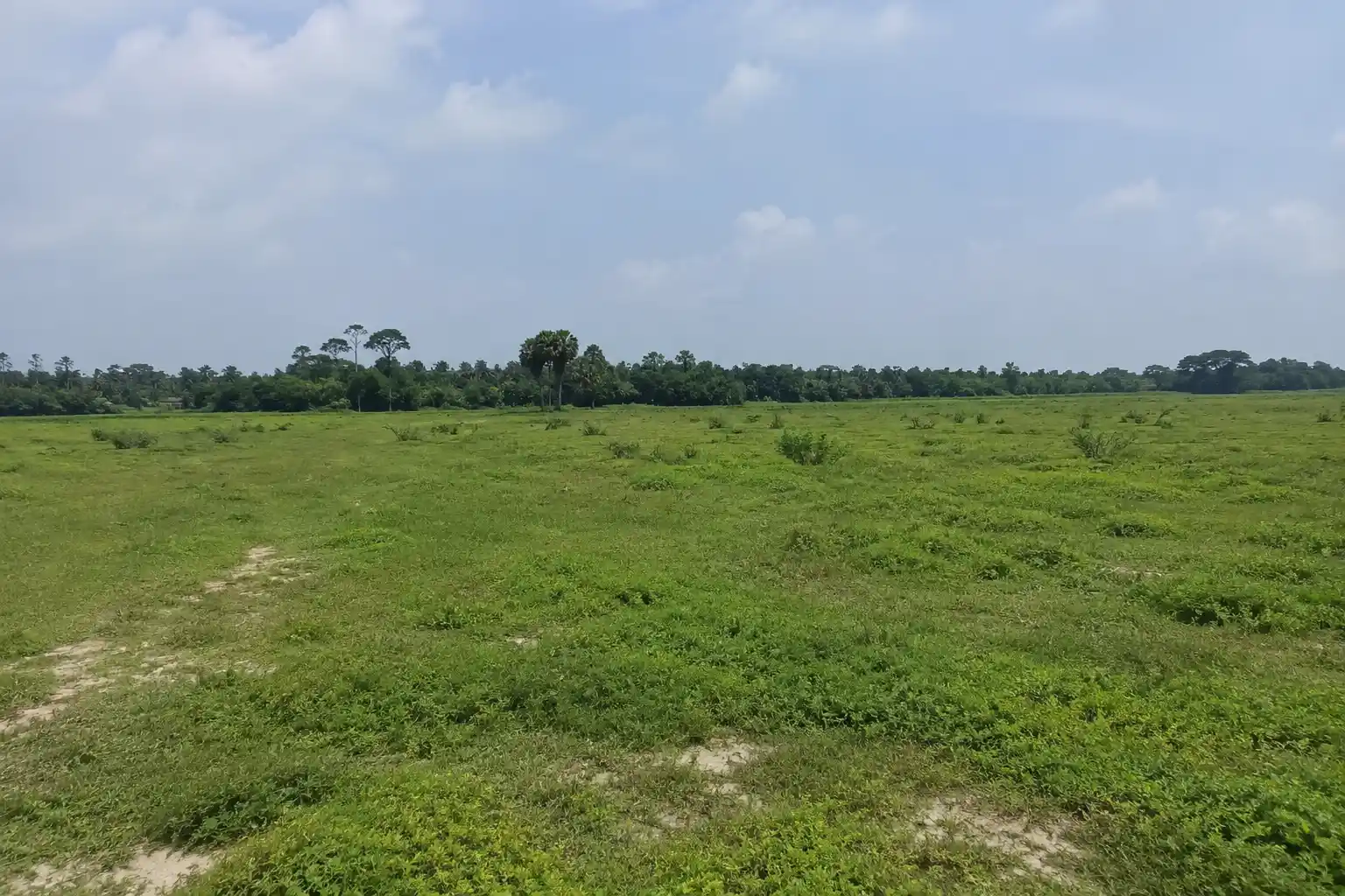 সিংগাইর ভুই দক্ষিণে ১৫০০ শতক মেইন রোড সংলগ্ন বিশাল বাণিজ্যিক ও শিল্প উপযোগী জমি বিক্রয়