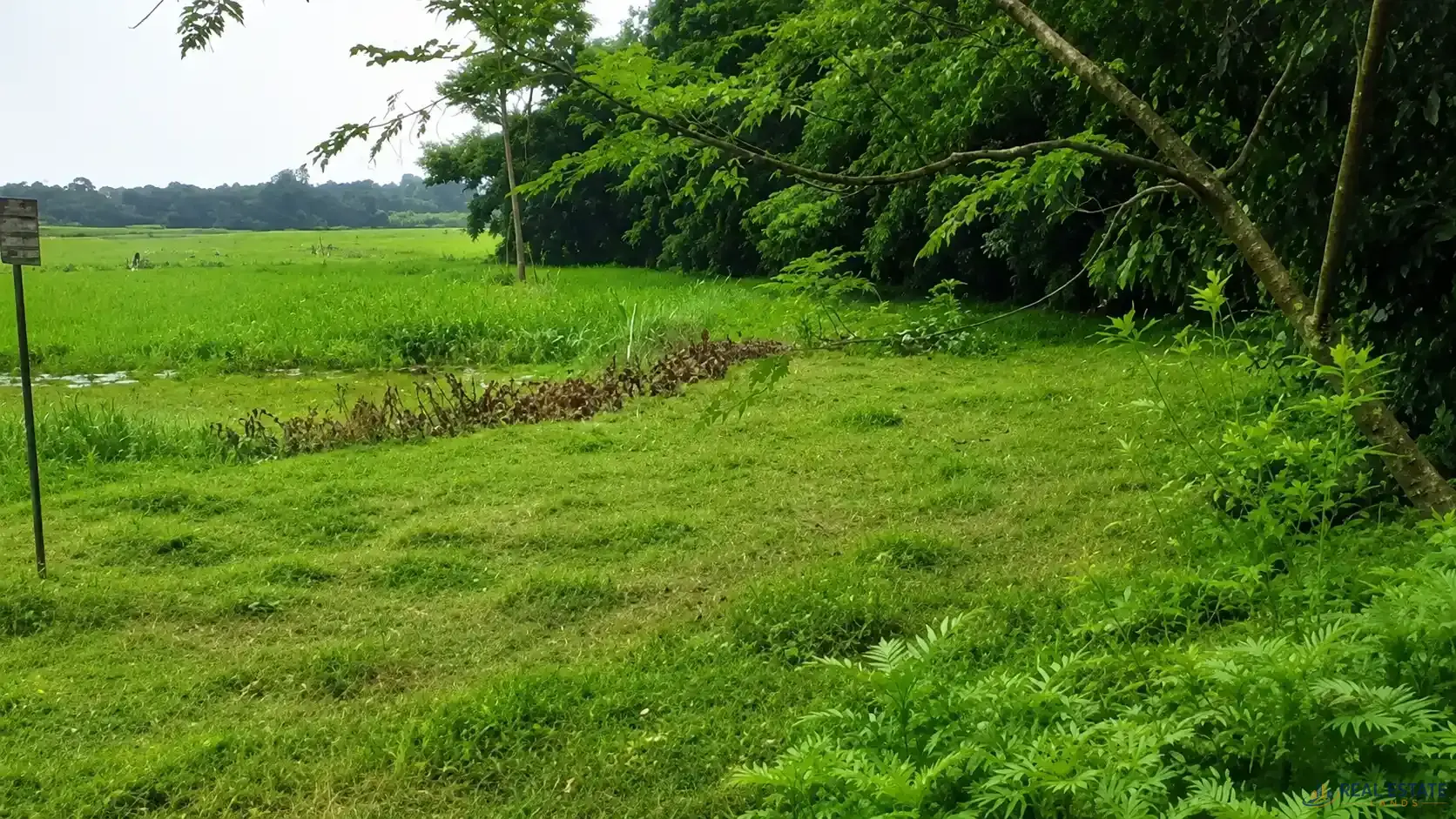 পূর্বাচল কালীগঞ্জের তুমুলিয়া ইউনিয়নে আরা ও চড়াখোলা মৌজায় জমি বিক্রয়