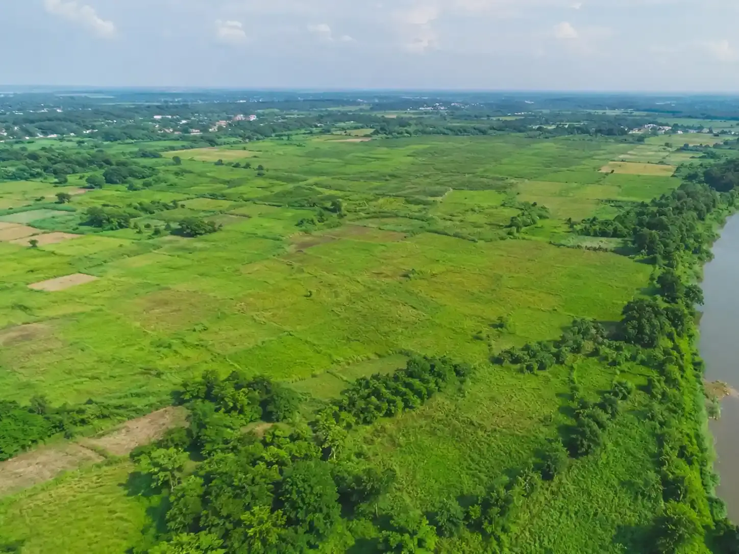 আরিচা রোড সংলগ্ন নদী সংলগ্ন ৯৩০ বিঘা জমি বিক্রয় | বলিয়াপুর - আমিন বাজার